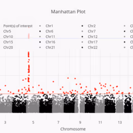 Manhattan Plot